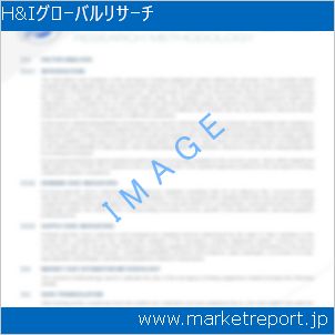 市場と産業調査レポートのイメージ
